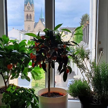 Von Privat, Grosses Zimmer Sehr Zentral In Bad Homburg Stadtmitte Bad Homburg vor der Höhe Exterior foto