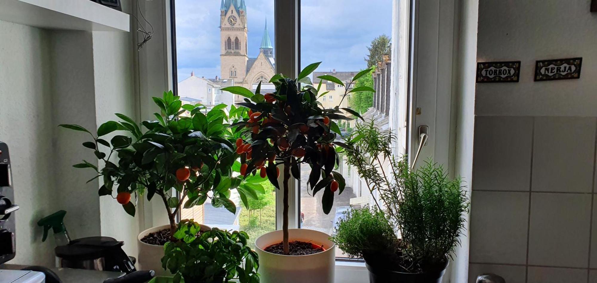 Von Privat, Grosses Zimmer Sehr Zentral In Bad Homburg Stadtmitte Bad Homburg vor der Höhe Exterior foto